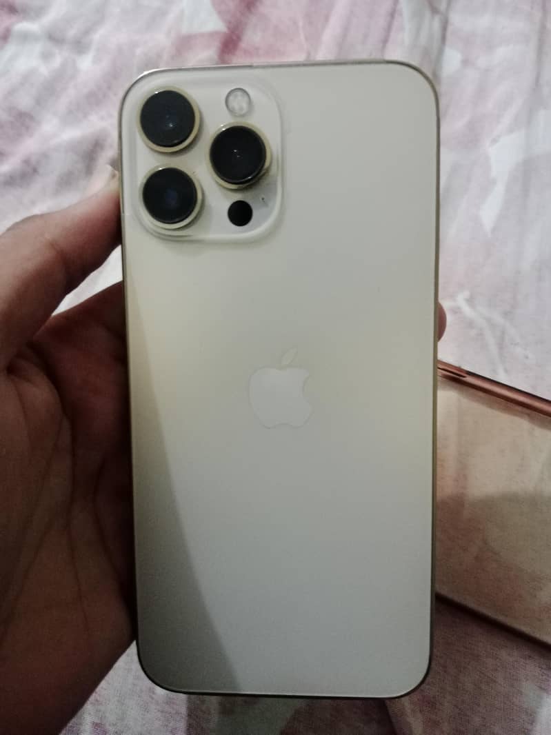Apple iPhone 13 Pro Max 5