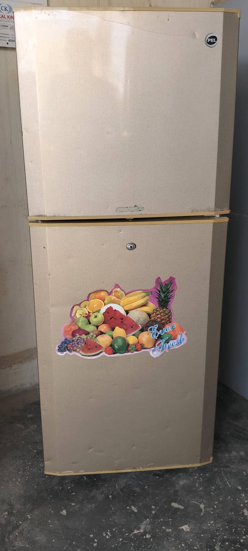 Pel Refrigerator 0