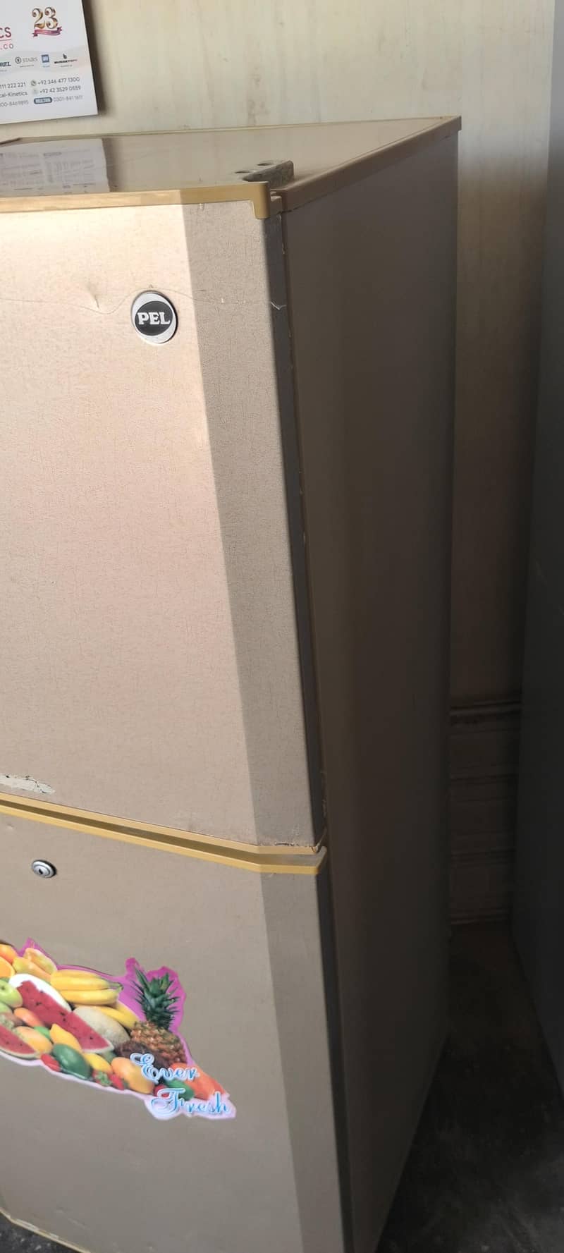 Pel Refrigerator 2