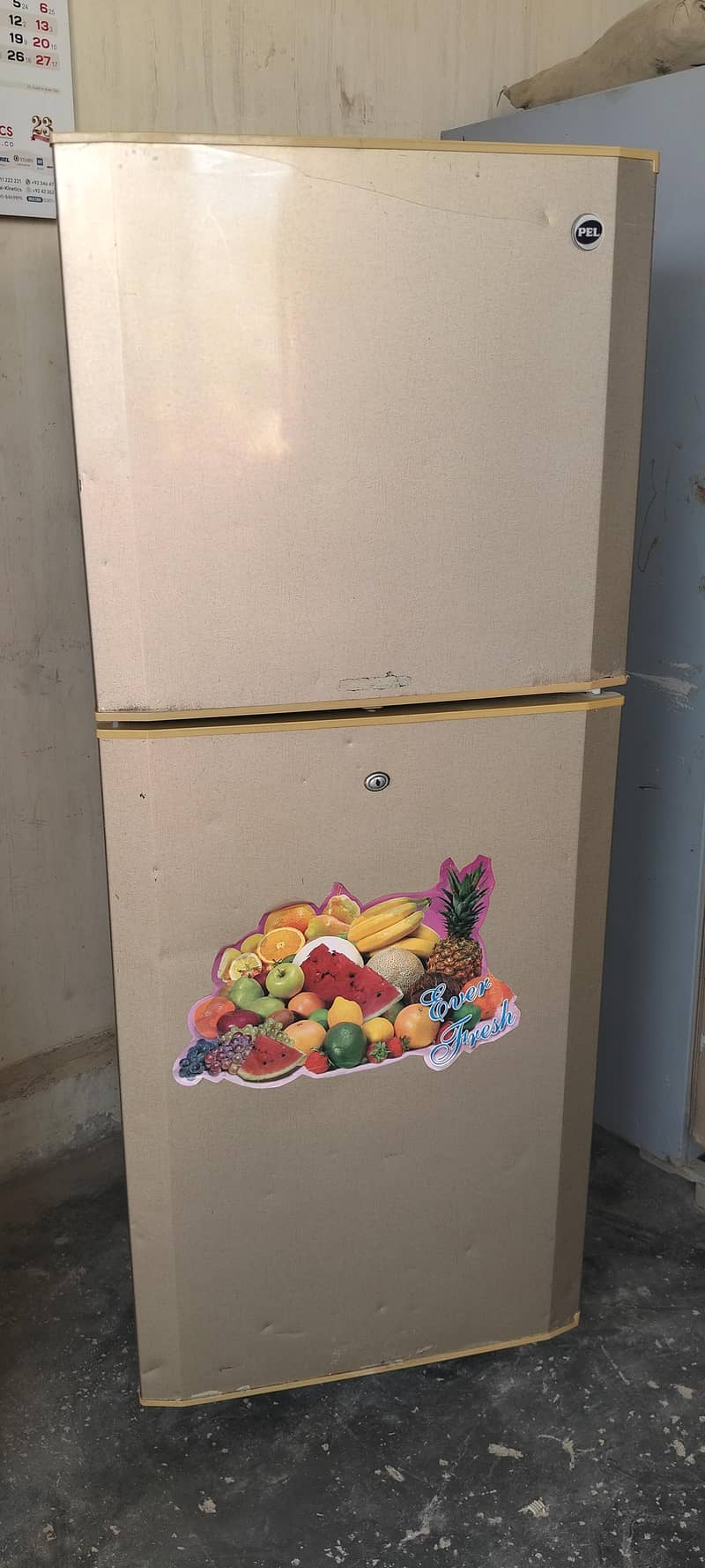 Pel Refrigerator 4