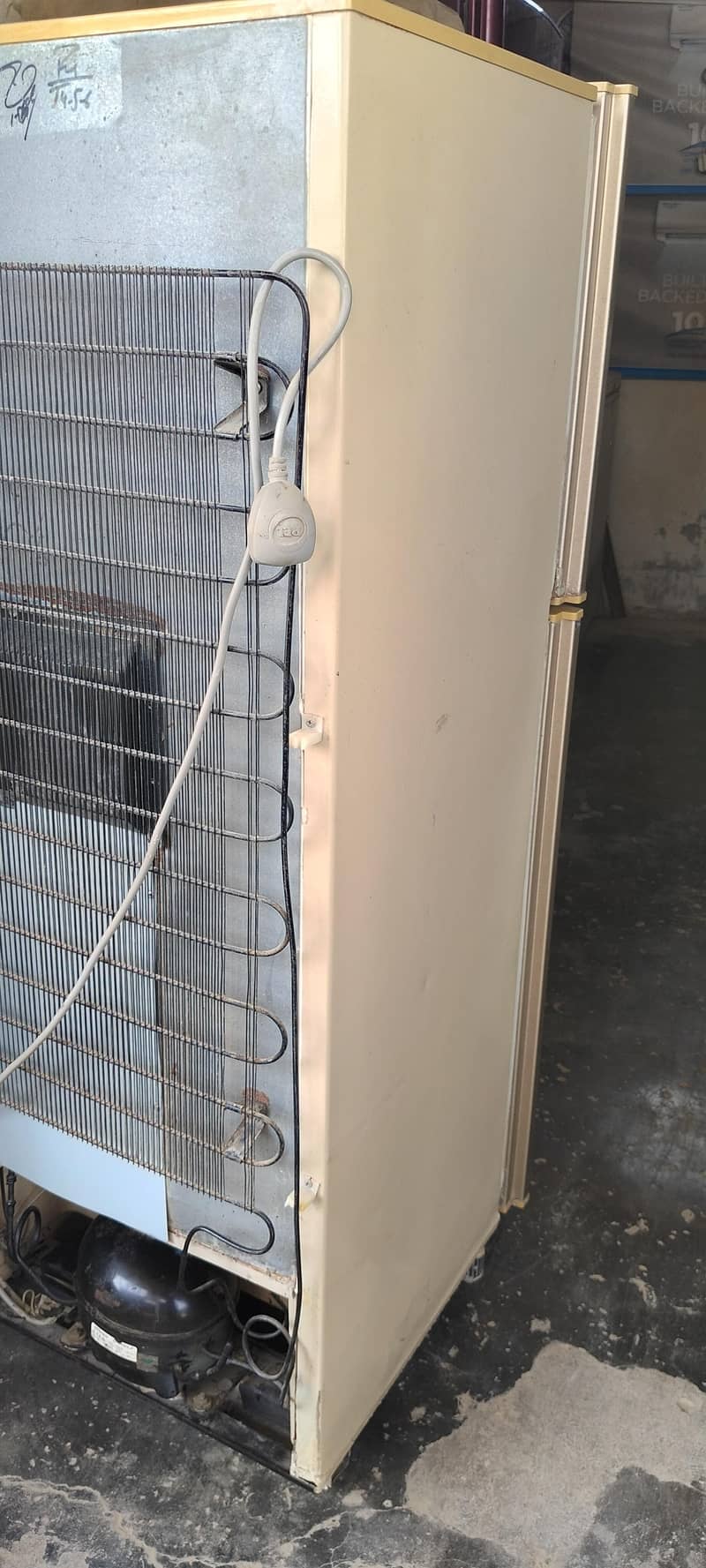 Pel Refrigerator 5