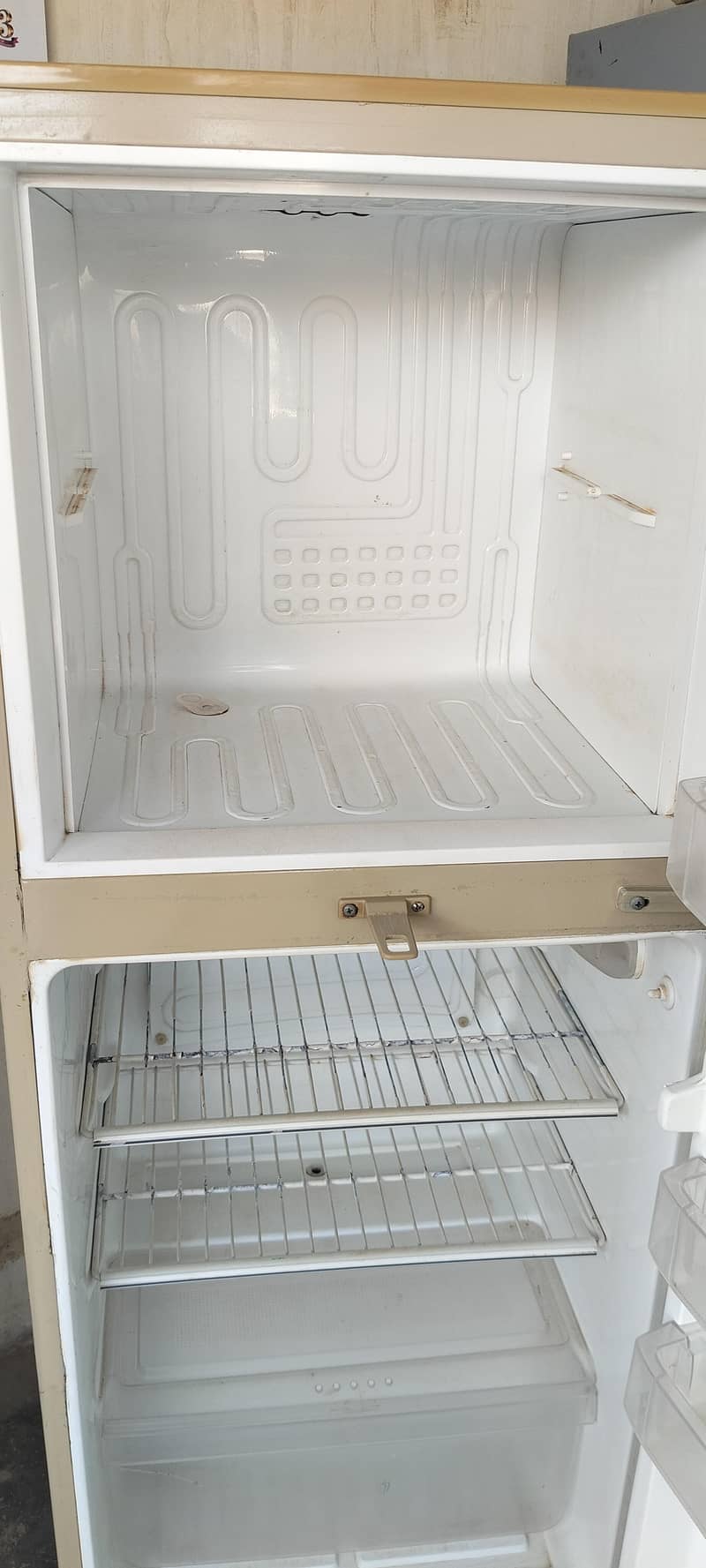 Pel Refrigerator 8