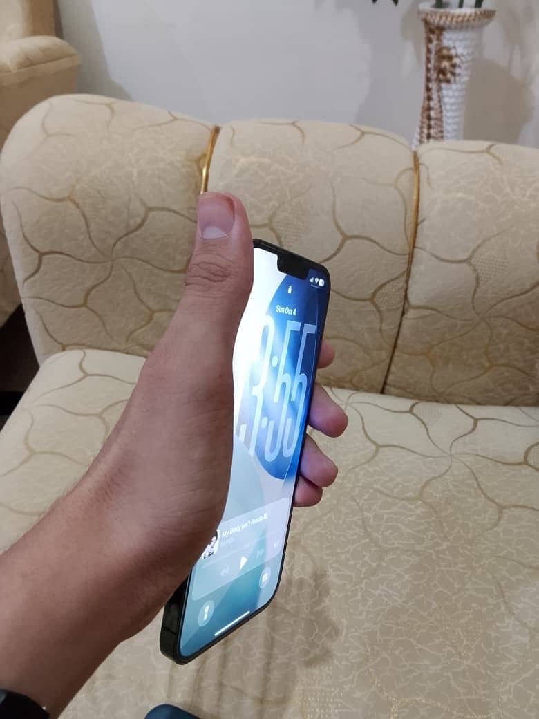 Apple iPhone 13 Pro Max 2