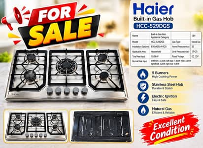 Model: HCC-529DGS). Haier company 10month use