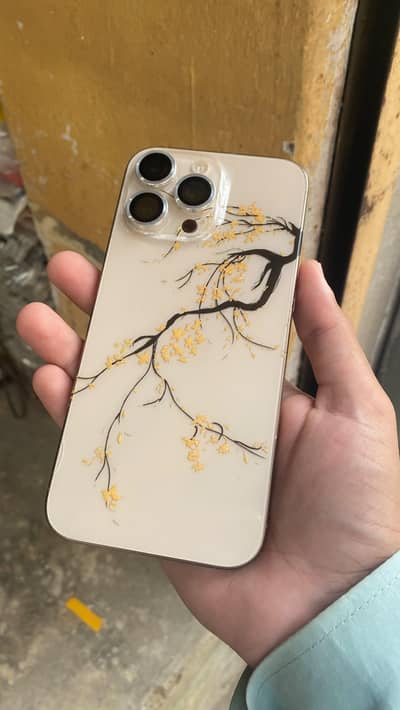 iPhone 16 Pro Max factory unlocked