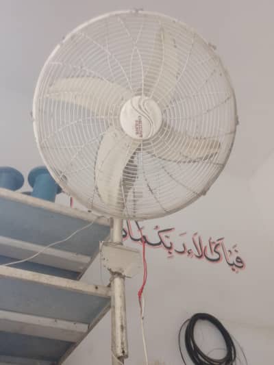 orient fan