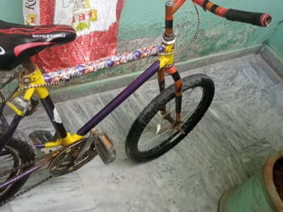 PHONEX FRAME MEDIUM CYCLE