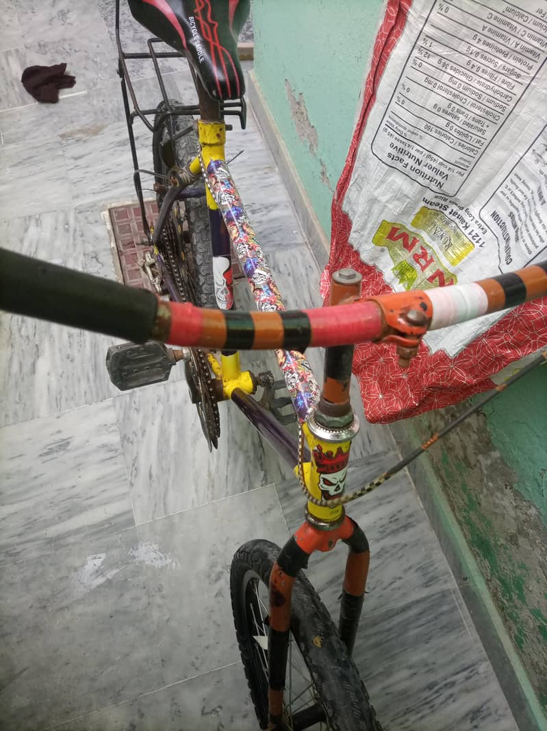 PHONEX FRAME MEDIUM CYCLE 2