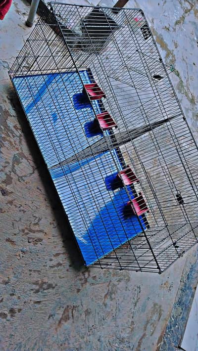 Cage for sale