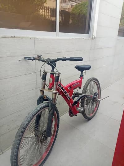heavy deuty bicycle