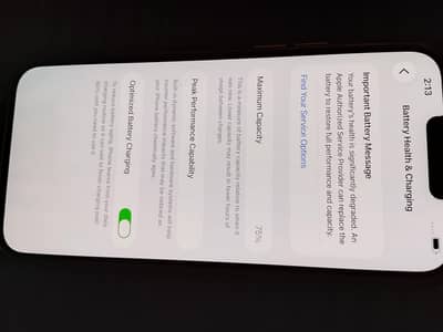 Apple iPhone 13 Pro Max