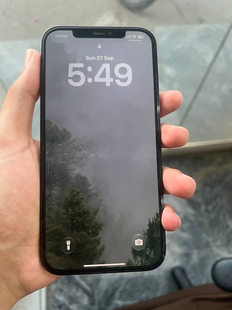 Apple iPhone 12 Pro Max 2
