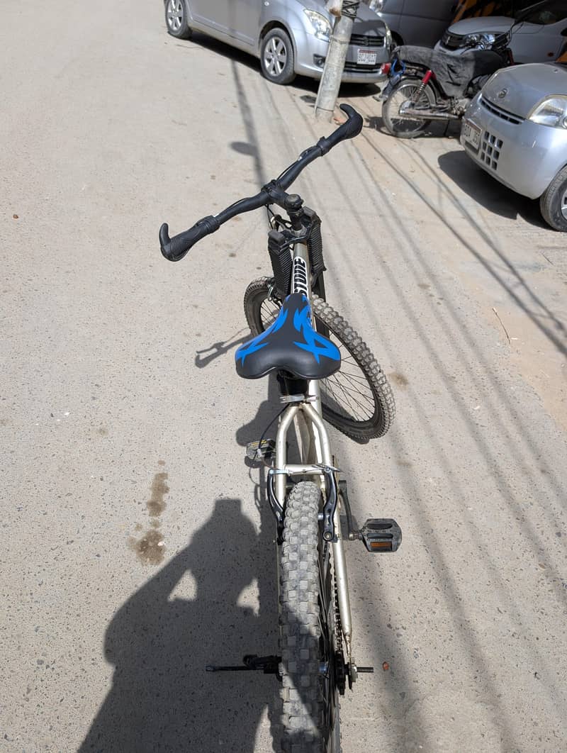 bridge stone bicycle 2