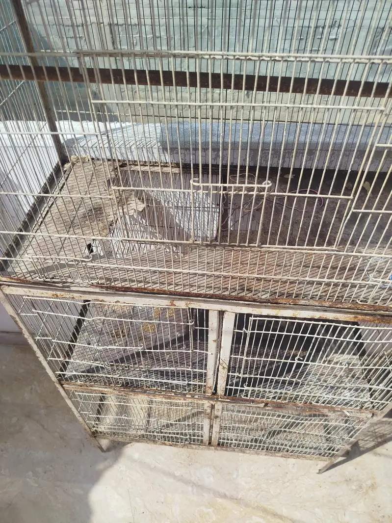 iron cage for sell — photo 2