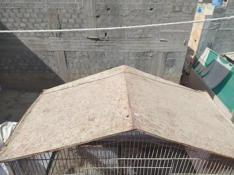 iron cage for sell — photo 5