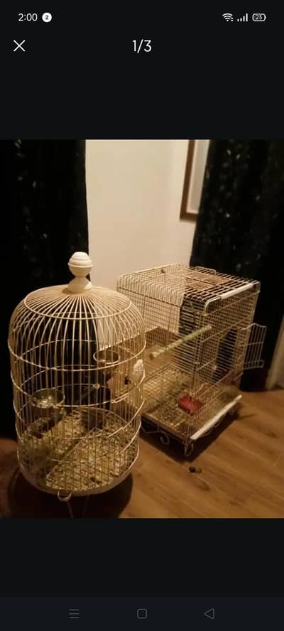 raw , ring neck oval white colour cage