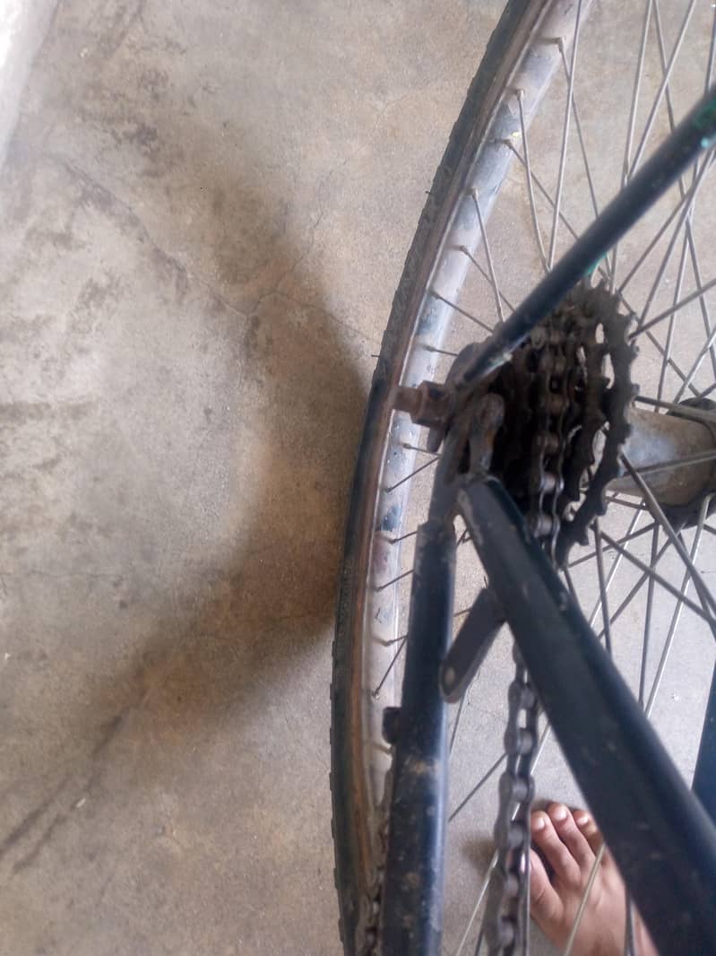 Morgan Cycle - Urgent sale - Other Bicycles - 1120076361