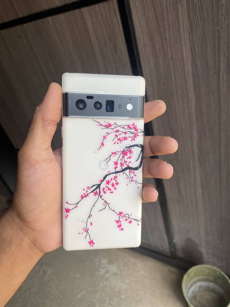 Google Pixel 6 Pro 1