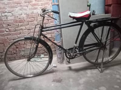 cycle of