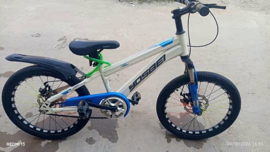 mountain bike japan