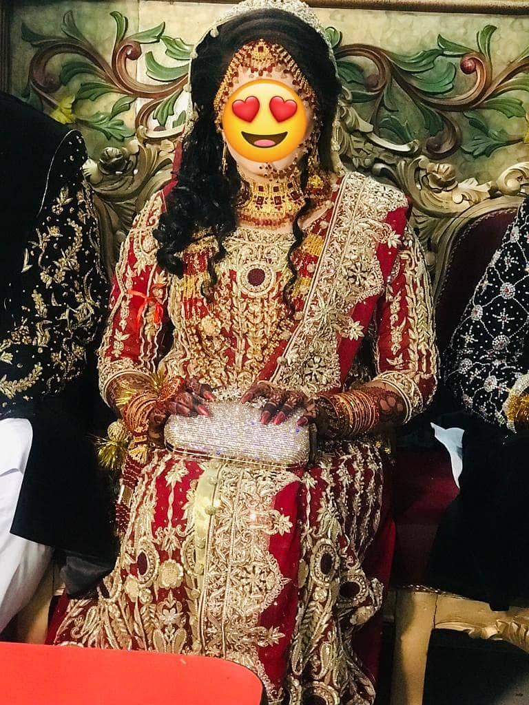 bridle lehnga 1