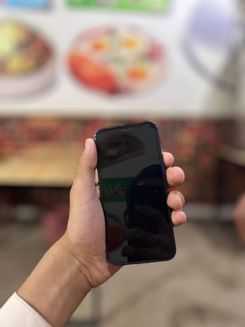 Apple iPhone 12 mini 1