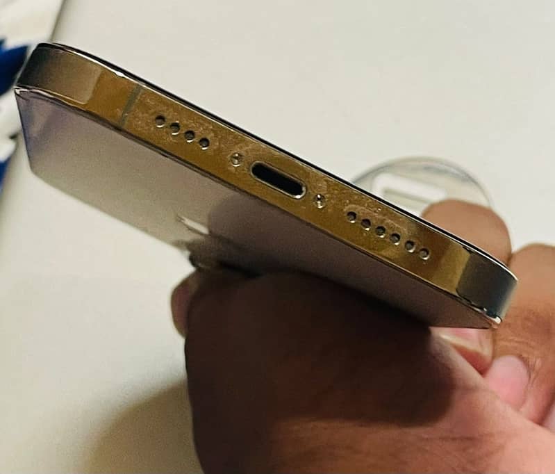 Apple iPhone 13 Pro Max 1