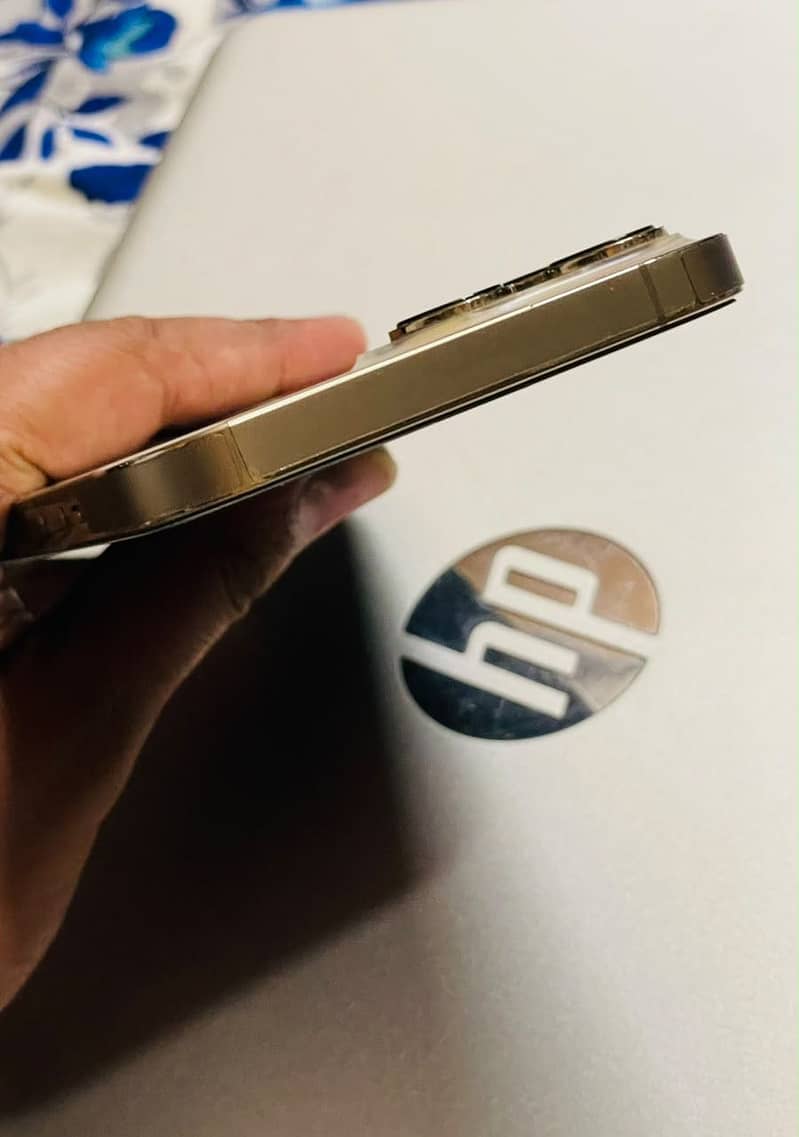 Apple iPhone 13 Pro Max 2