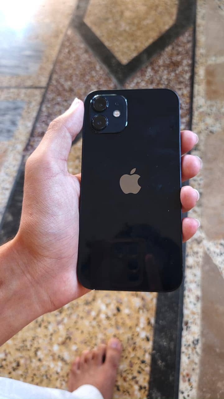 Apple iPhone 12 1