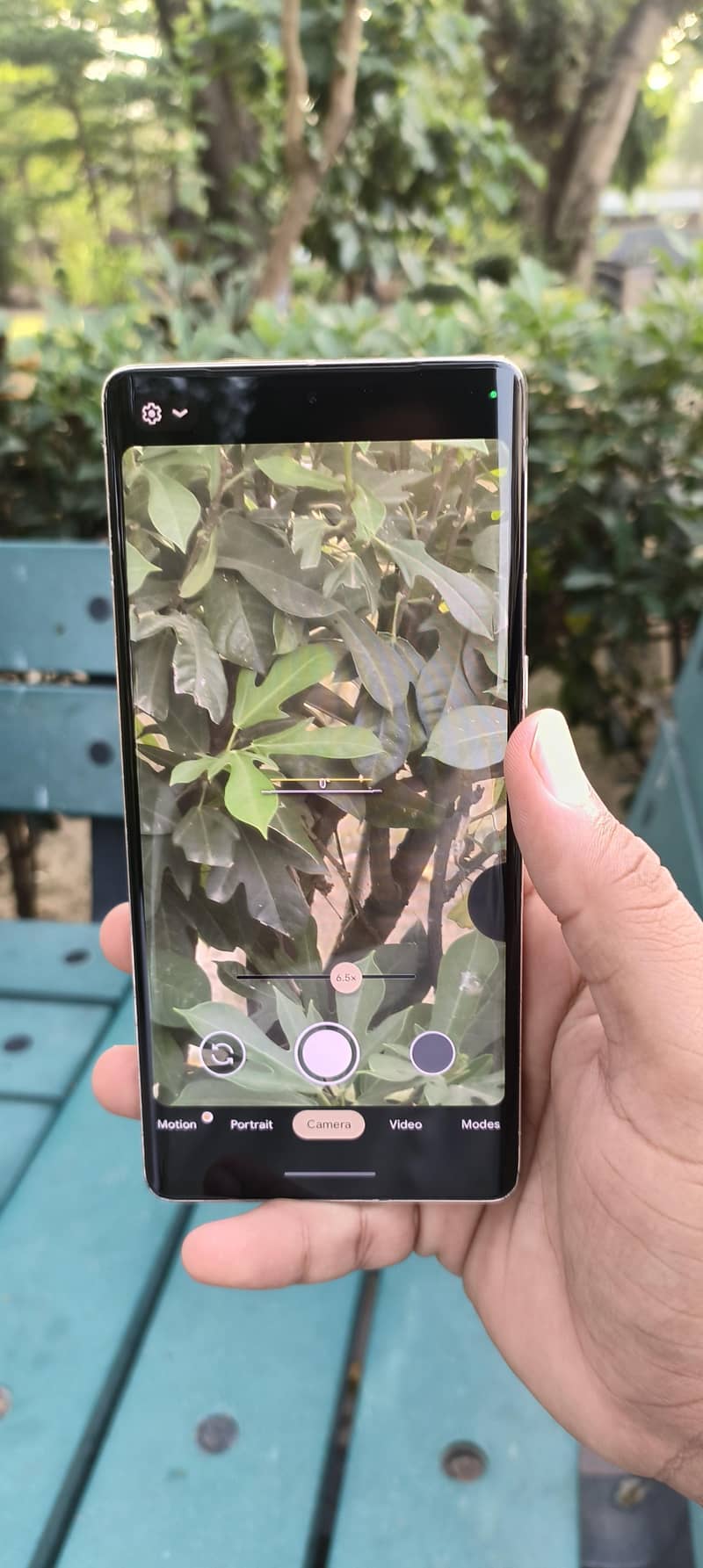 Google Pixel 7 Pro pta apovd 6