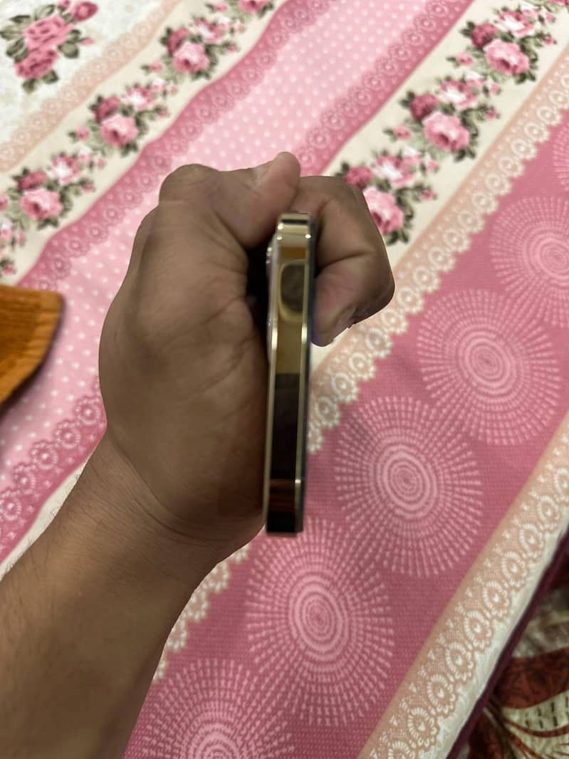 Apple iPhone 12 Pro Max 4