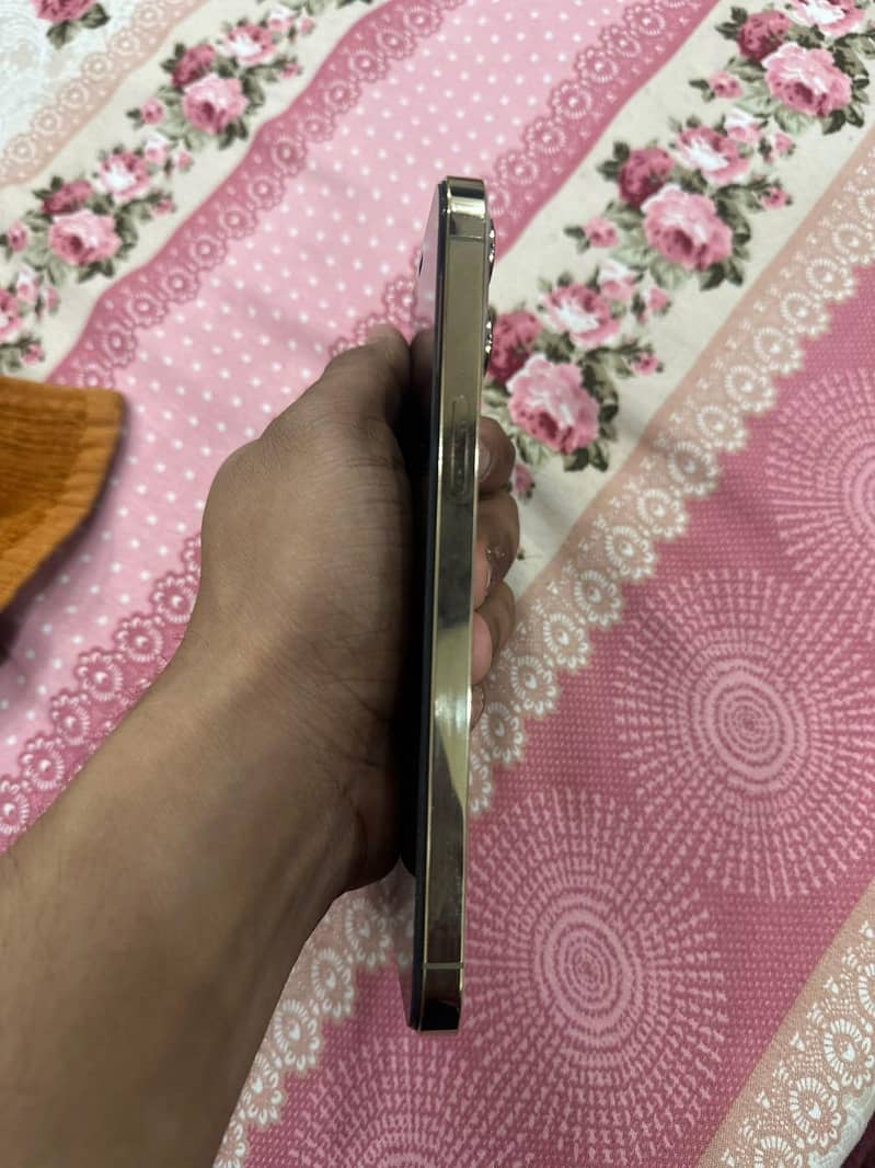 Apple iPhone 12 Pro Max 5
