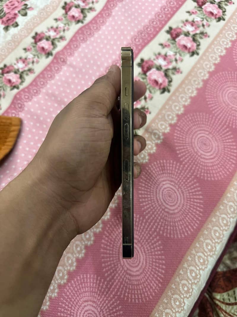 Apple iPhone 12 Pro Max 6