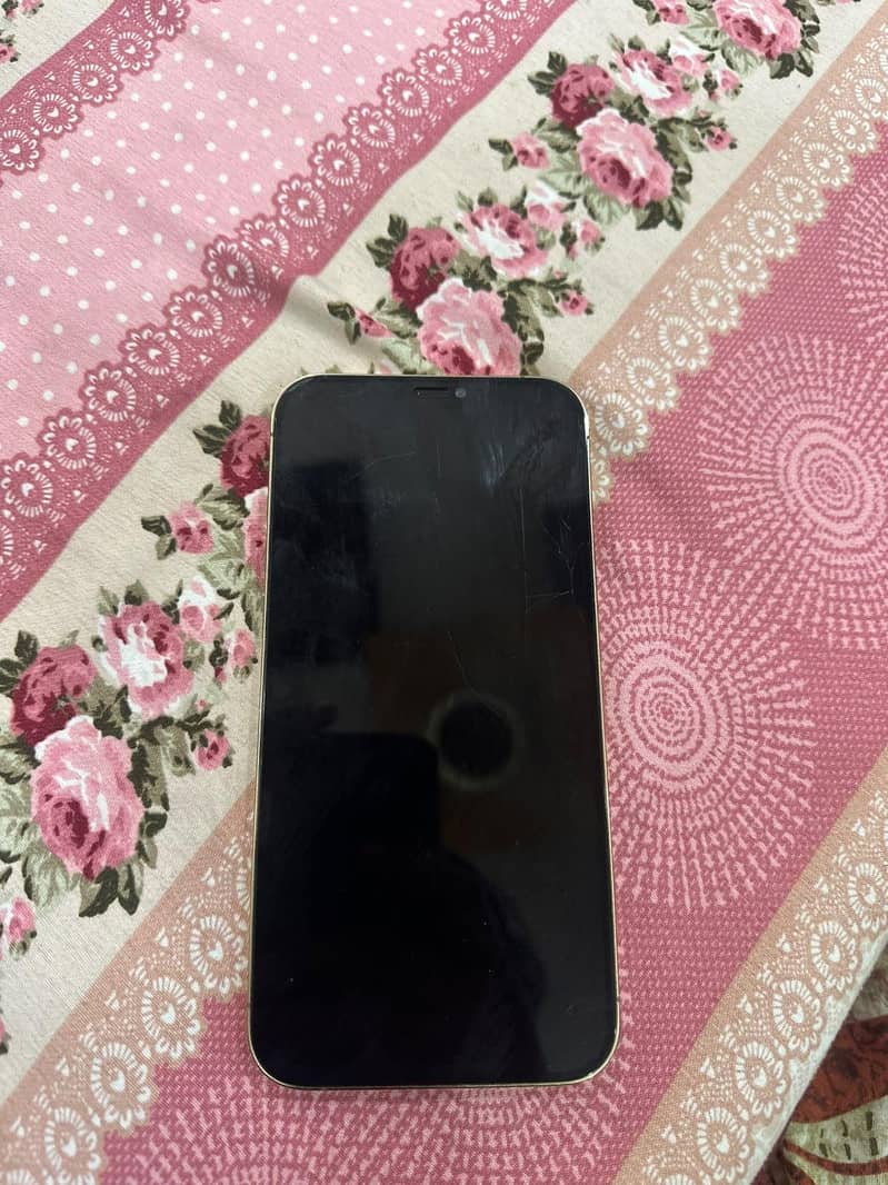 Apple iPhone 12 Pro Max 7