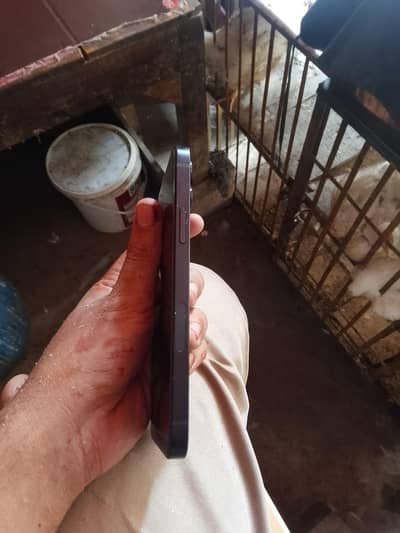 Apple iPhone 12