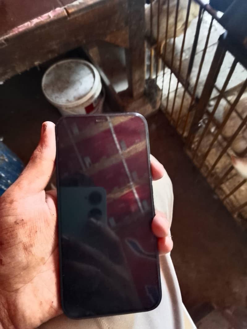 Apple iPhone 12 1
