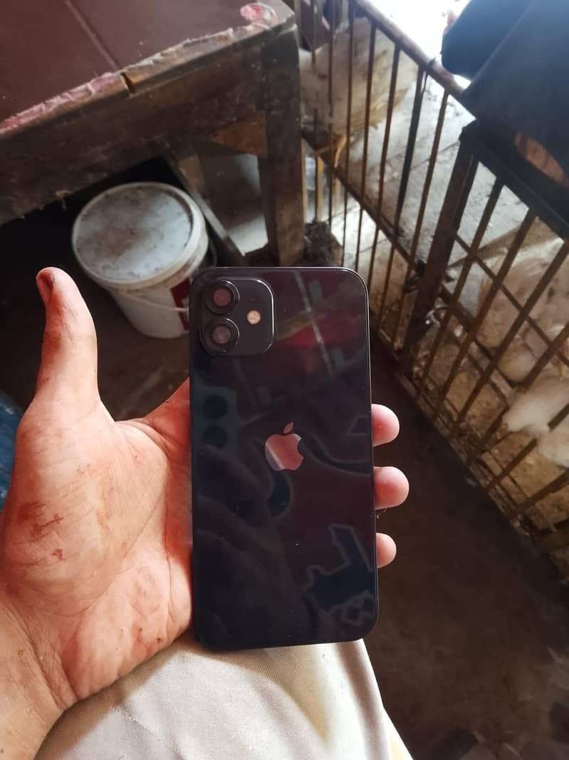 Apple iPhone 12 2