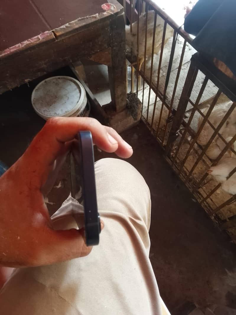 Apple iPhone 12 3