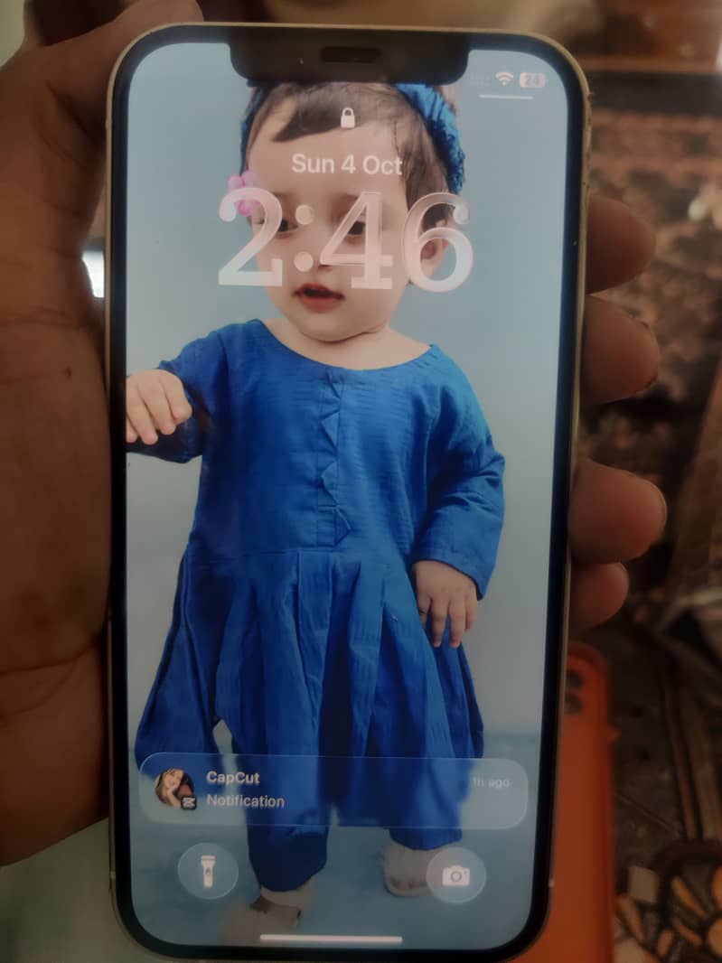 Apple iPhone 12 2