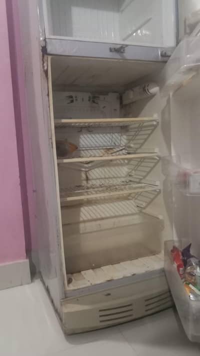 PEL Refrigerator full size
