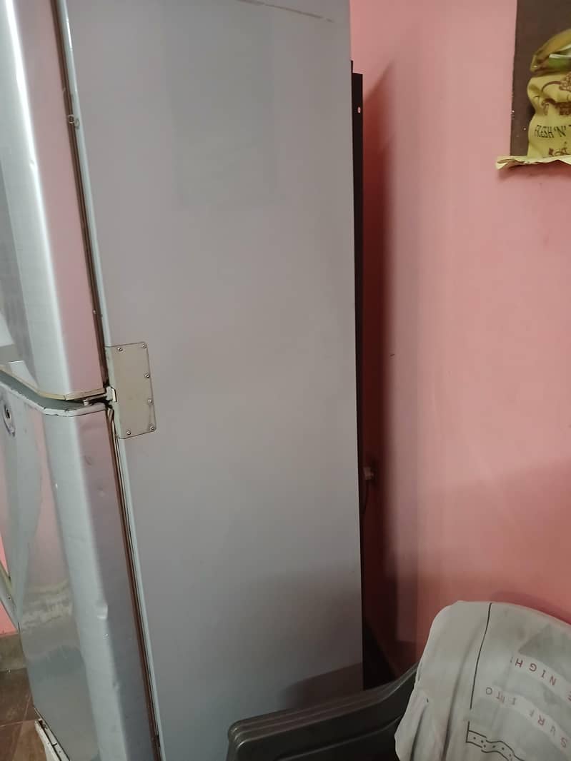 PEL FRIDGE 1