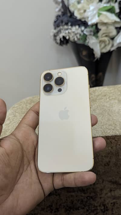 Apple iPhone 13 Pro