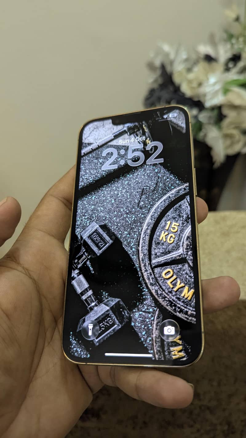 Apple iPhone 13 Pro 1