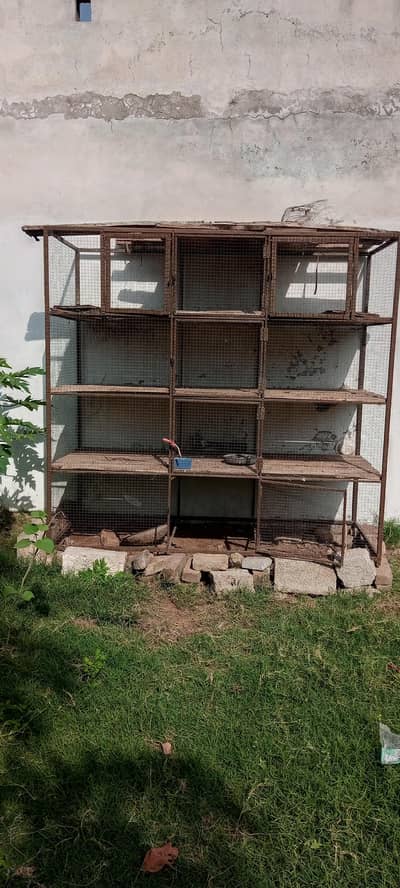 iron cage very strong