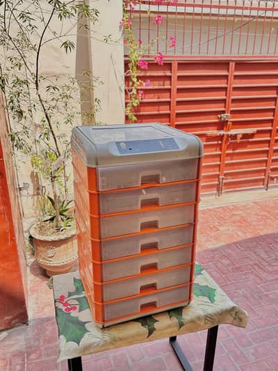 Eggs Incubator