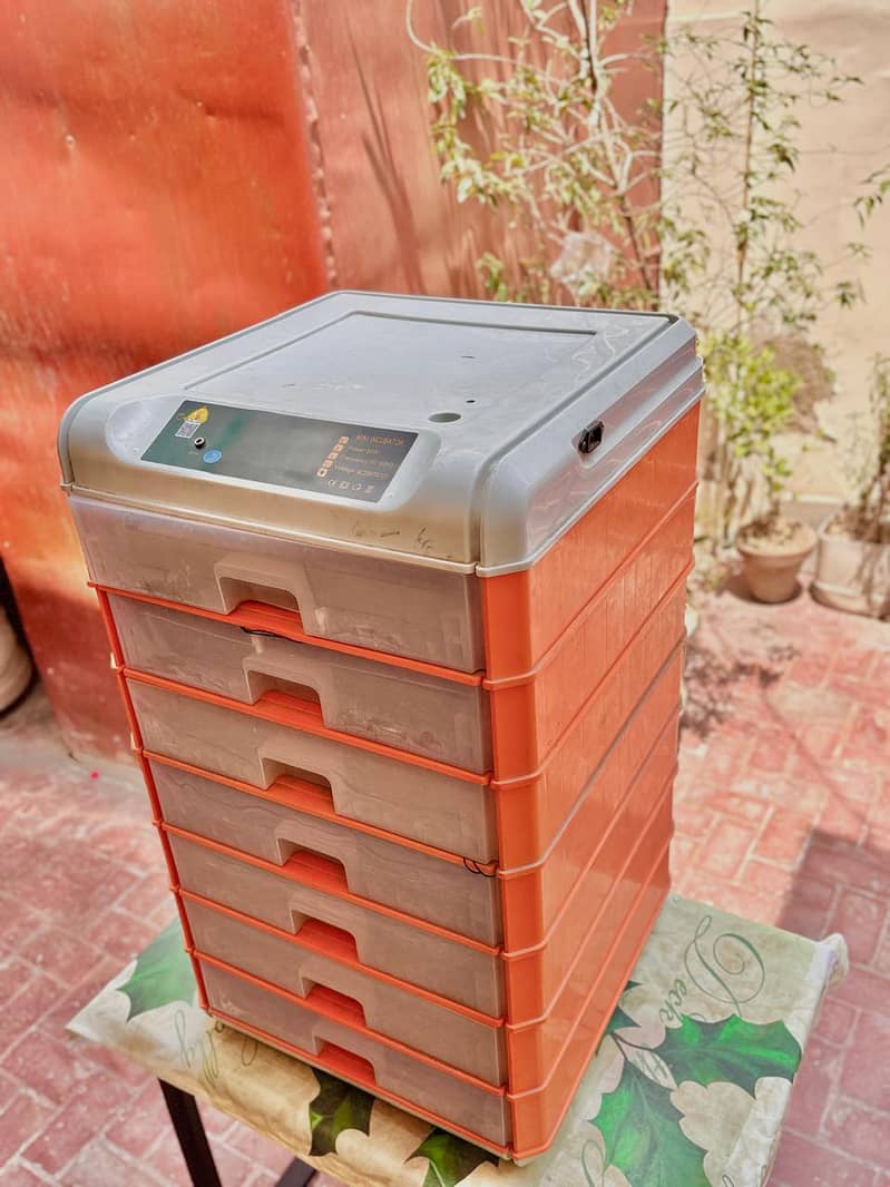 Eggs Incubator 1