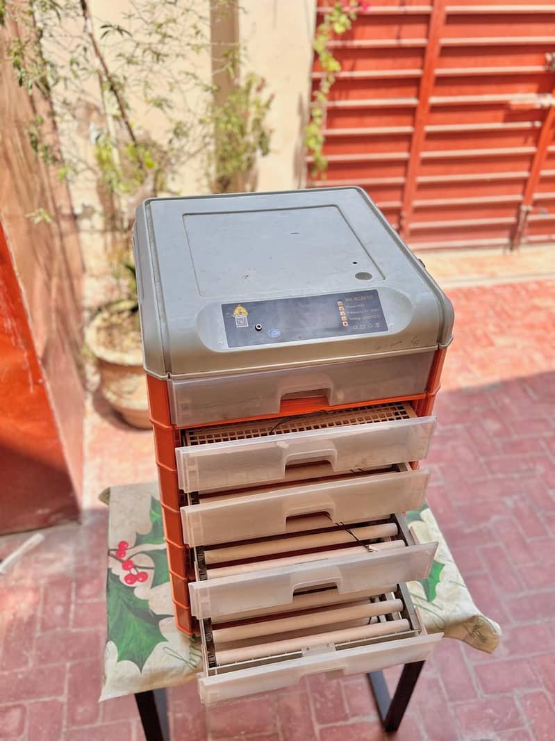 Eggs Incubator 2