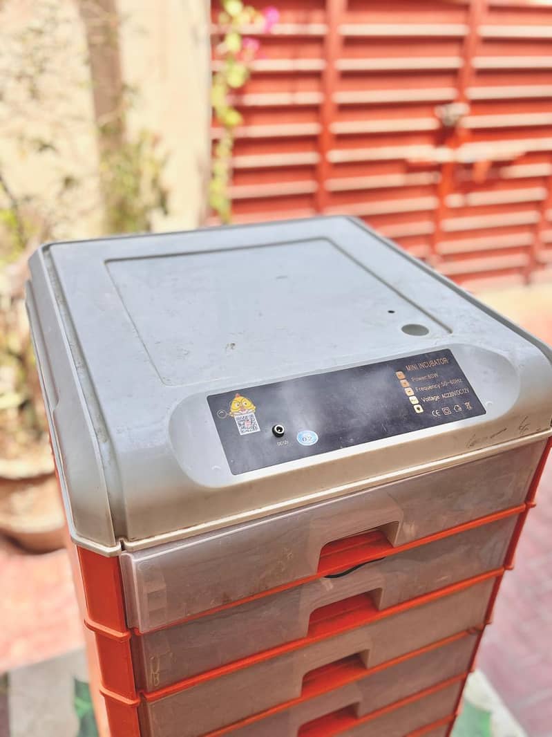 Eggs Incubator 3