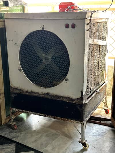 12volt Cooler with Supply & Stand