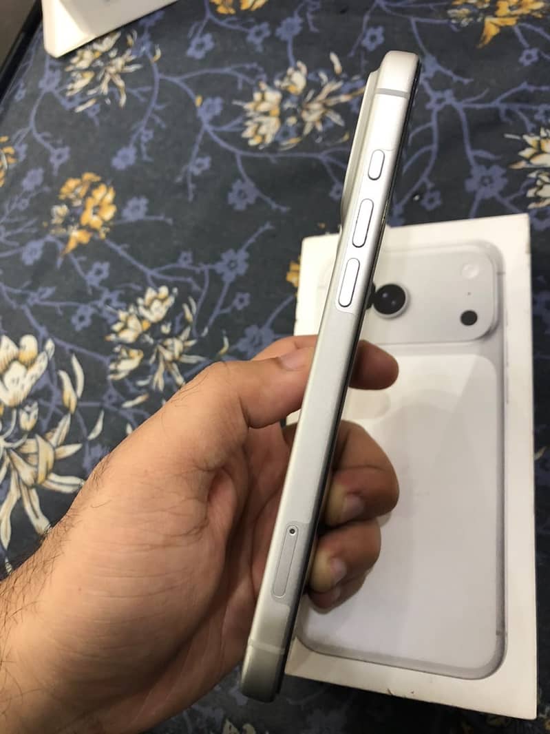 17 pro max silver new condition 5